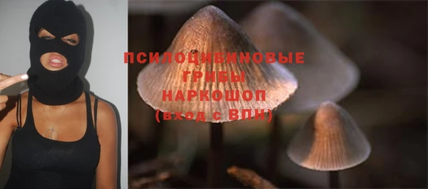 гашик Инта