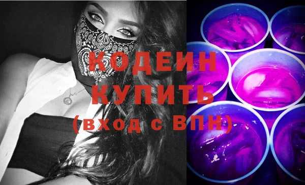 гашик Инта