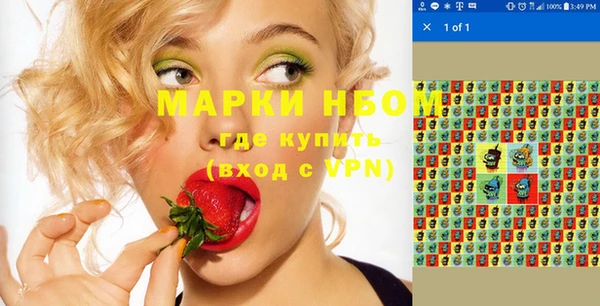гашик Инта