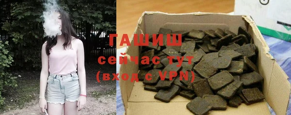 гашик Инта