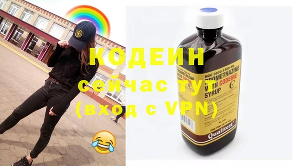 гашик Инта