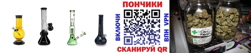 Купить закладки  Облучье  Канабис Amnesia 
